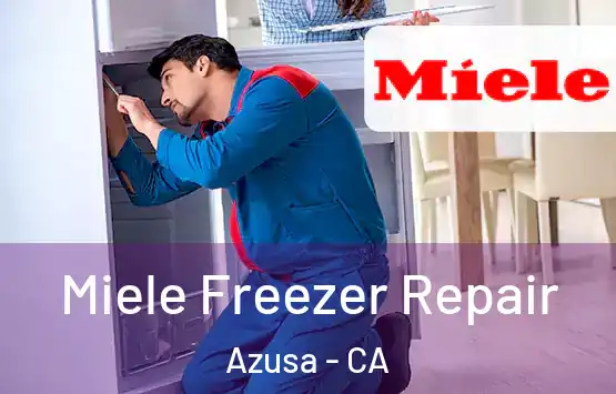  Miele Freezer Repair Azusa - CA