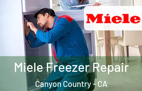 Miele Freezer Repair Canyon Country - CA