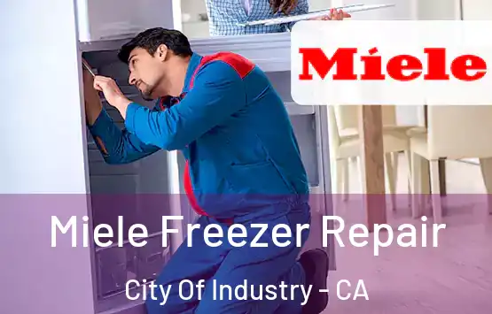  Miele Freezer Repair City Of Industry - CA