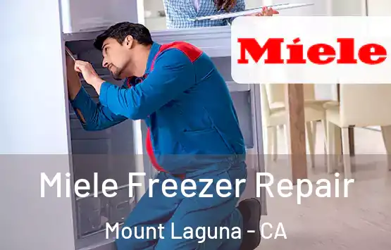  Miele Freezer Repair Mount Laguna - CA