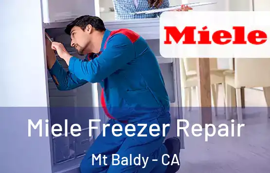  Miele Freezer Repair Mt Baldy - CA