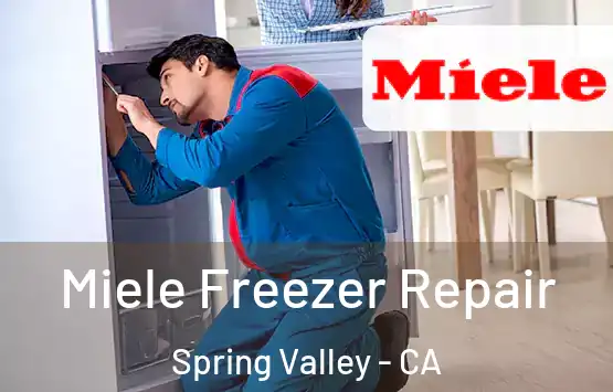  Miele Freezer Repair Spring Valley - CA
