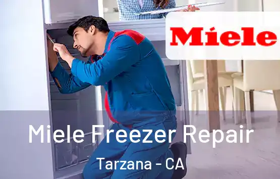  Miele Freezer Repair Tarzana - CA