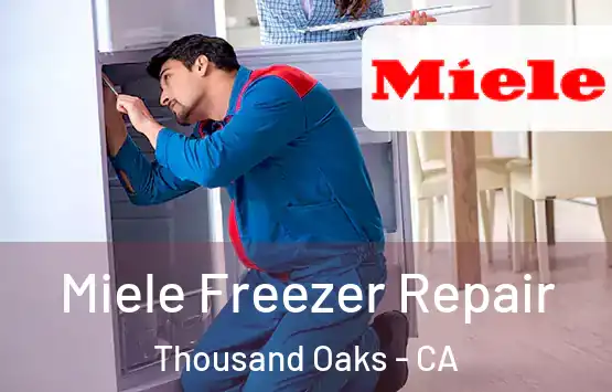  Miele Freezer Repair Thousand Oaks - CA