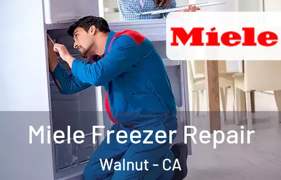  Miele Freezer Repair Walnut - CA