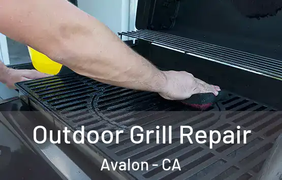  Outdoor Grill Repair Avalon - CA