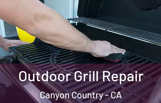  Outdoor Grill Repair Canyon Country - CA