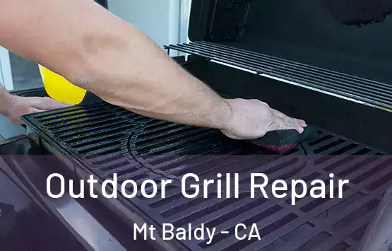  Outdoor Grill Repair Mt Baldy - CA