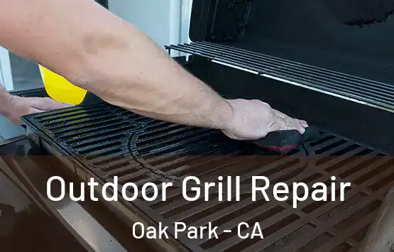  Outdoor Grill Repair Oak Park - CA