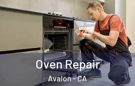 Oven Repair Avalon - CA