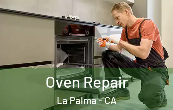  Oven Repair La Palma - CA