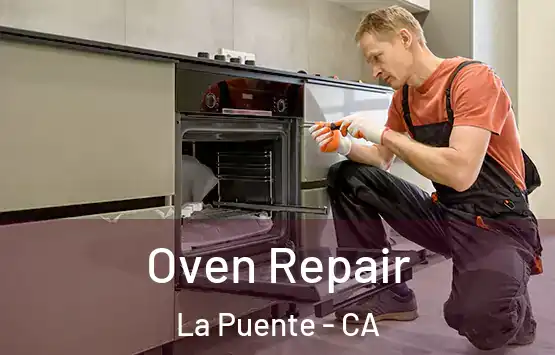  Oven Repair La Puente - CA