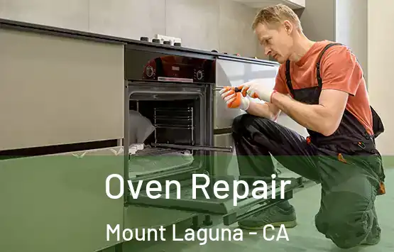  Oven Repair Mount Laguna - CA