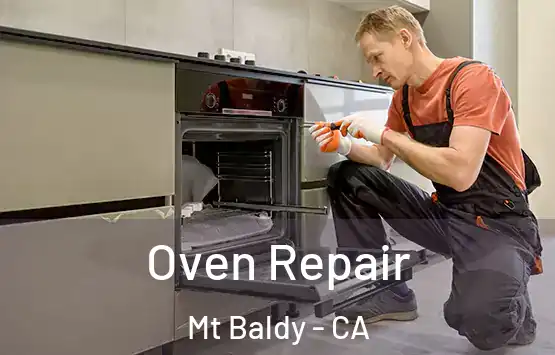  Oven Repair Mt Baldy - CA