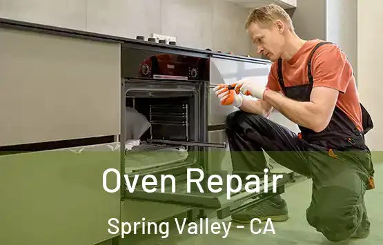  Oven Repair Spring Valley - CA