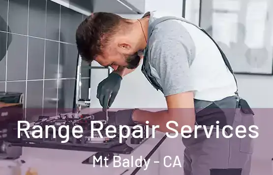  Range Repair Services Mt Baldy - CA