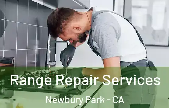  Range Repair Services Newbury Park - CA