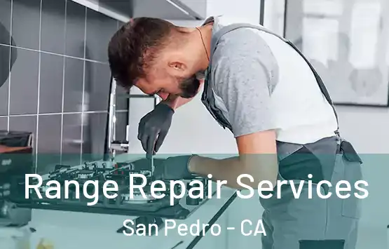  Range Repair Services San Pedro - CA