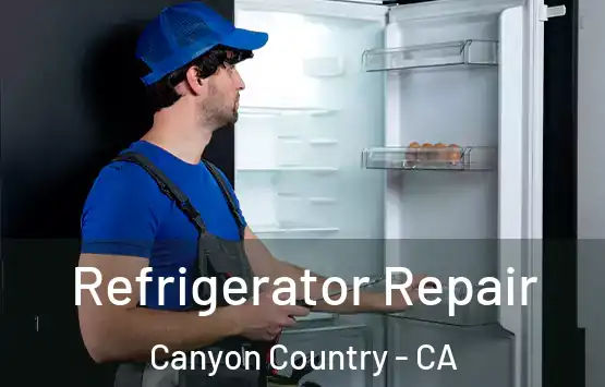  Refrigerator Repair Canyon Country - CA