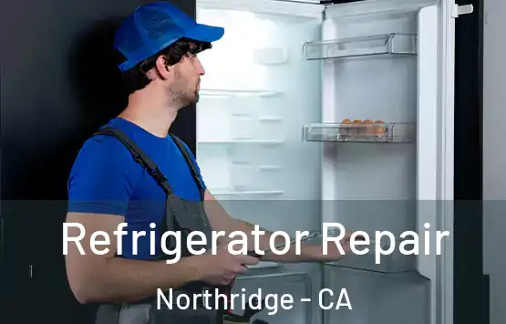  Refrigerator Repair Northridge - CA