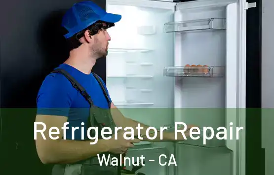  Refrigerator Repair Walnut - CA