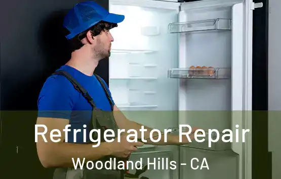 Refrigerator Repair Woodland Hills - CA