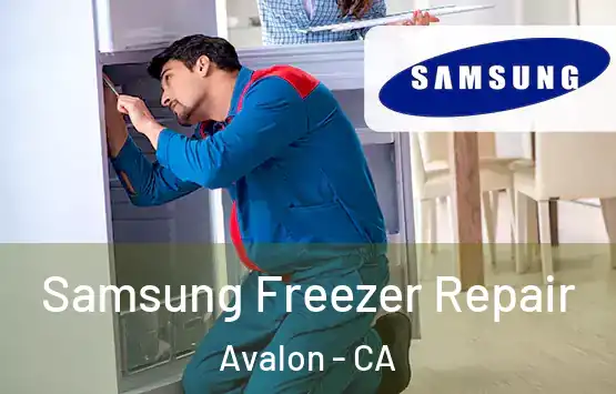  Samsung Freezer Repair Avalon - CA