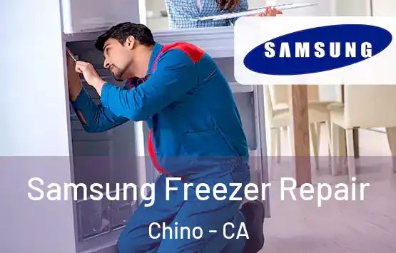  Samsung Freezer Repair Chino - CA