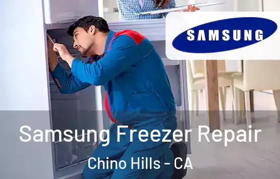  Samsung Freezer Repair Chino Hills - CA