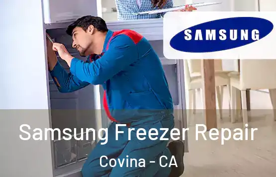 Samsung Freezer Repair Covina - CA