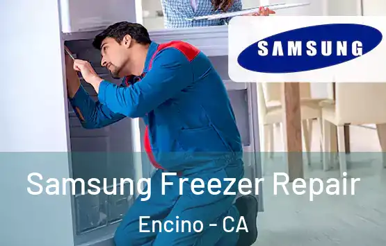  Samsung Freezer Repair Encino - CA