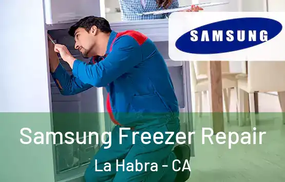  Samsung Freezer Repair La Habra - CA