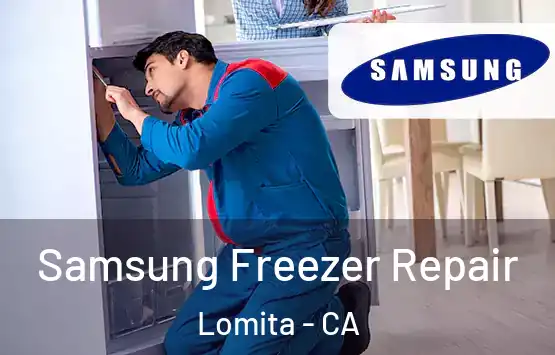  Samsung Freezer Repair Lomita - CA