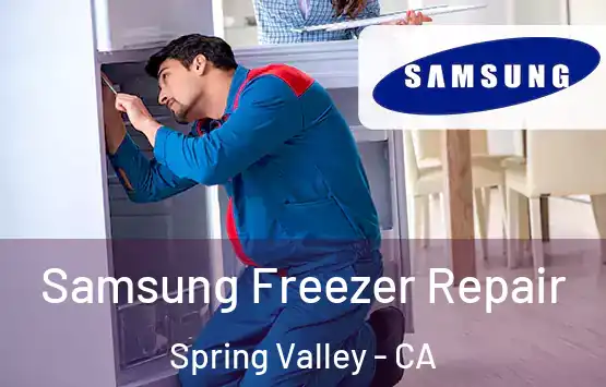  Samsung Freezer Repair Spring Valley - CA
