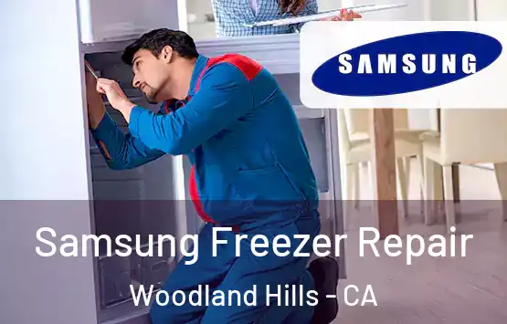 Samsung Freezer Repair Woodland Hills - CA