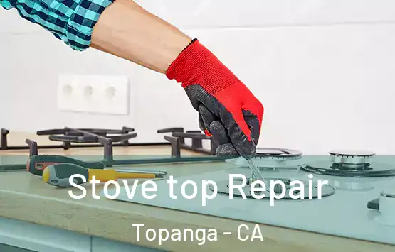 Stove top Repair Topanga - CA
