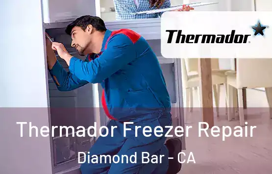  Thermador Freezer Repair Diamond Bar - CA
