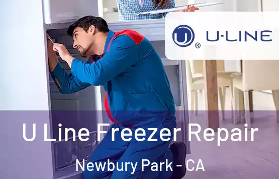  U Line Freezer Repair Newbury Park - CA