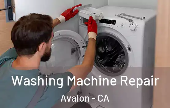  Washing Machine Repair Avalon - CA
