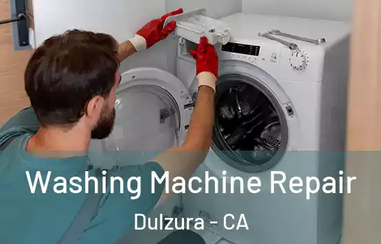  Washing Machine Repair Dulzura - CA