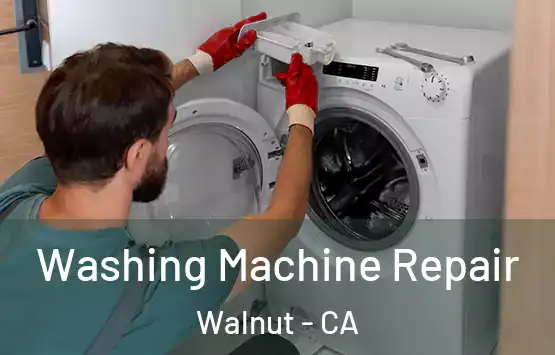  Washing Machine Repair Walnut - CA