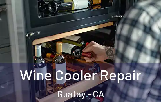  Wine Cooler Repair Guatay - CA