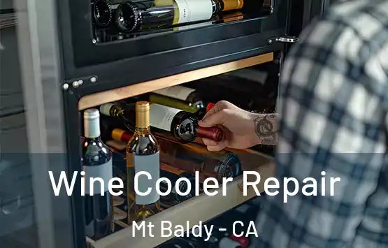  Wine Cooler Repair Mt Baldy - CA