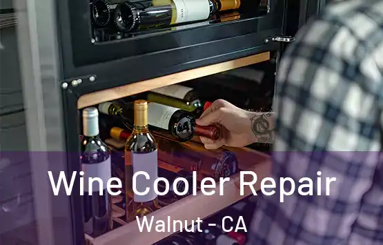  Wine Cooler Repair Walnut - CA